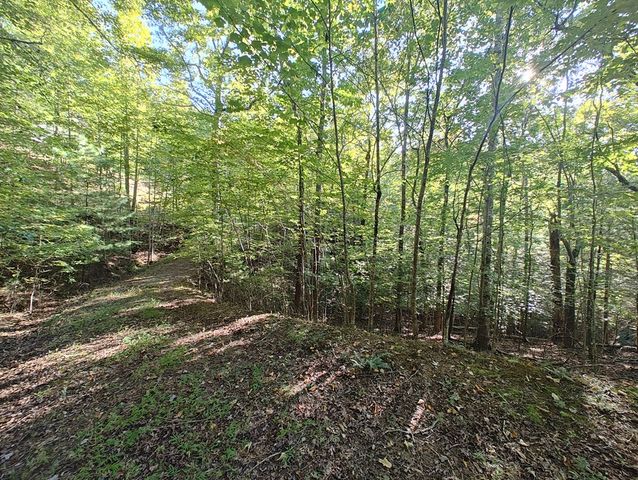 13 Reserve Estates Lane, Murphy, NC 28906