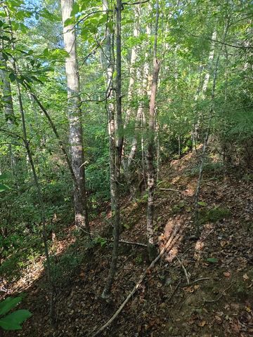 13 Reserve Estates Lane, Murphy, NC 28906