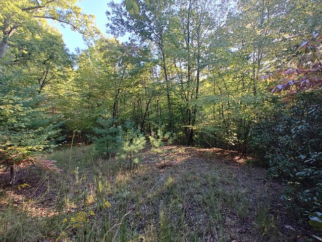 13 Reserve Estates Lane, Murphy, NC 28906