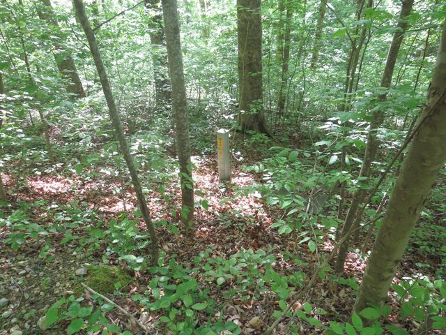 9999 Lots 225,227,228231 Stillwater, Russell Springs, KY 42642