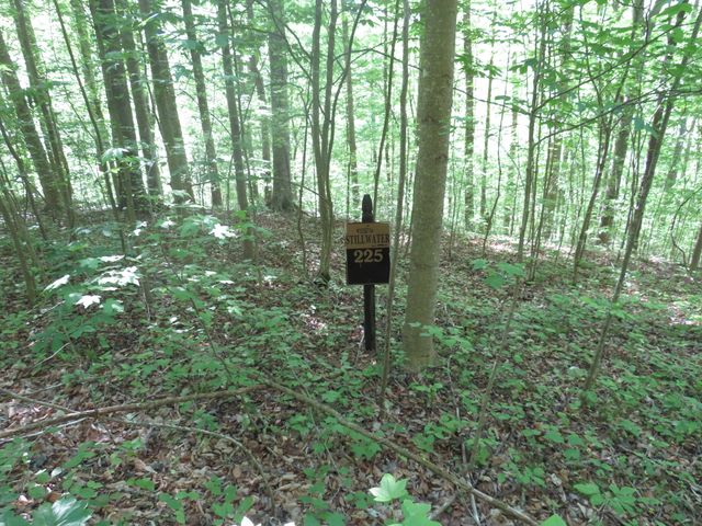 9999 Lots 225,227,228231 Stillwater, Russell Springs, KY 42642