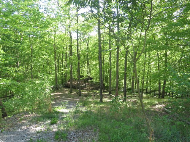 9999 Lots 225,227,228231 Stillwater, Russell Springs, KY 42642