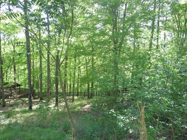 9999 Lots 225,227,228231 Stillwater, Russell Springs, KY 42642