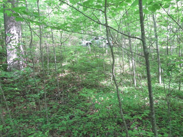 9999 Lots 225,227,228231 Stillwater, Russell Springs, KY 42642