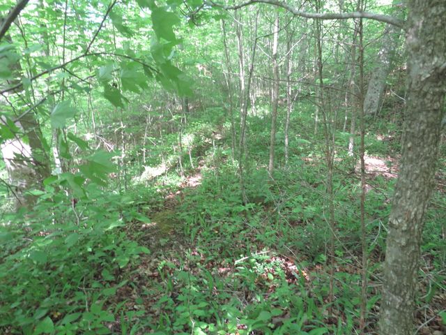 9999 Lots 225,227,228231 Stillwater, Russell Springs, KY 42642