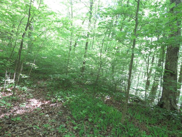 9999 Lots 225,227,228231 Stillwater, Russell Springs, KY 42642