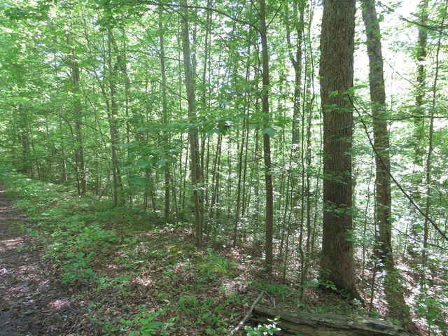 9999 Lots 225,227,228231 Stillwater, Russell Springs, KY 42642