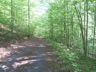 9999 Lots 225,227,228231 Stillwater, Russell Springs, KY 42642