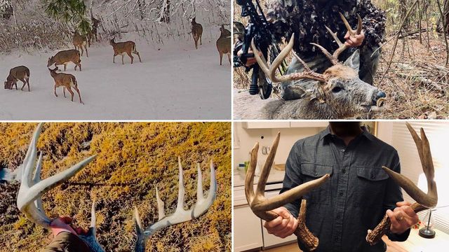 E16448 Sunrise Lane, Hillsboro, WI 54634