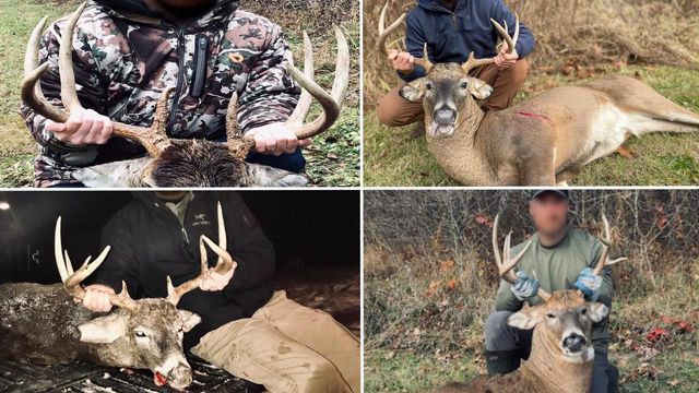 E16448 Sunrise Lane, Hillsboro, WI 54634