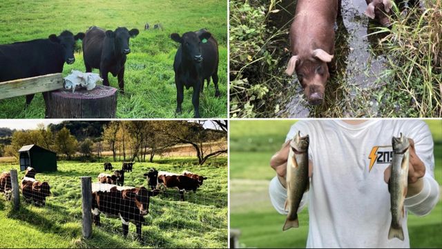 E16448 Sunrise Lane, Hillsboro, WI 54634