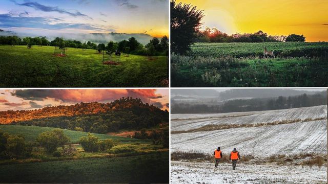 E16448 Sunrise Lane, Hillsboro, WI 54634