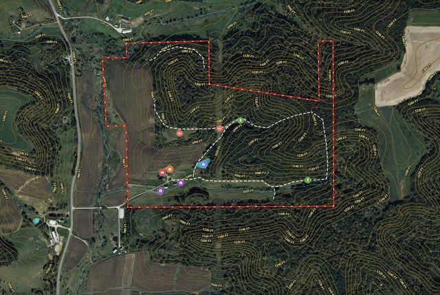 E16448 Sunrise Lane, Hillsboro, WI 54634