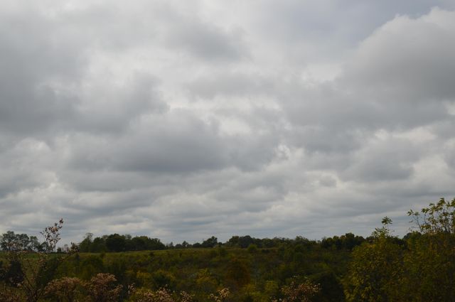 Lot #2 Georgetown Road, Owenton, KY 40359