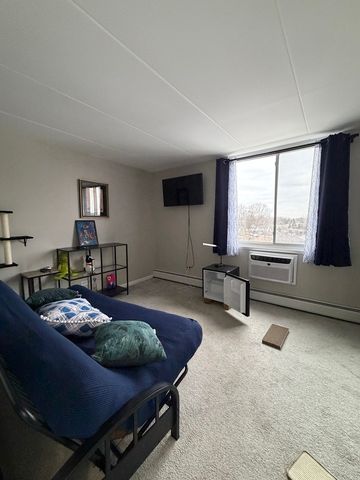 225 S Rohlwing Road 418, Palatine, IL 60074