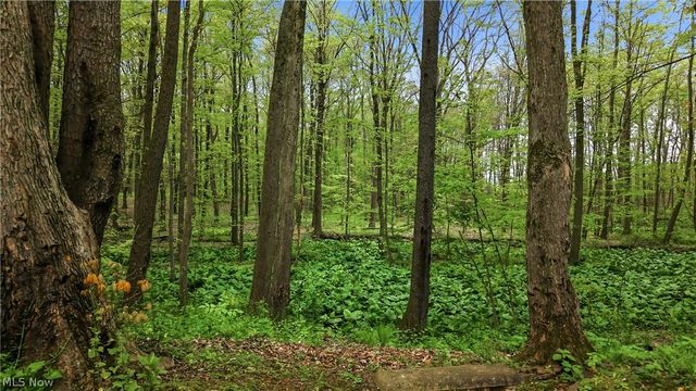 13689 Beard Road, New Springfield, OH 44443