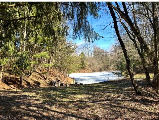 13689 Beard Road, New Springfield, OH 44443