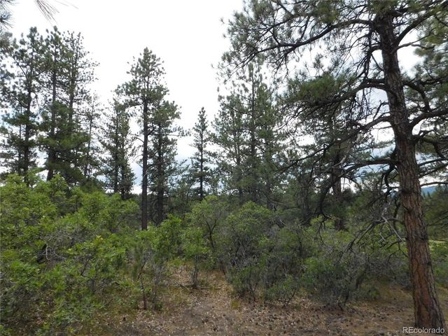 7069 Pasque Ct, Larkspur, CO 80118