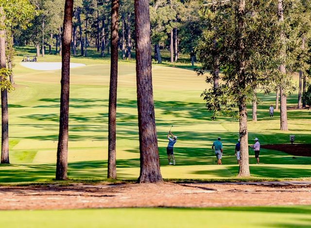 TBD7 Lily Bean, Montgomery, TX 77316