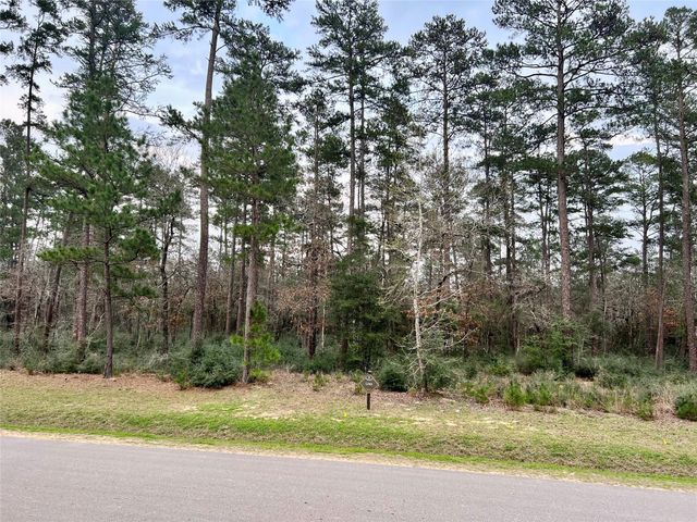 TBD7 Lily Bean, Montgomery, TX 77316