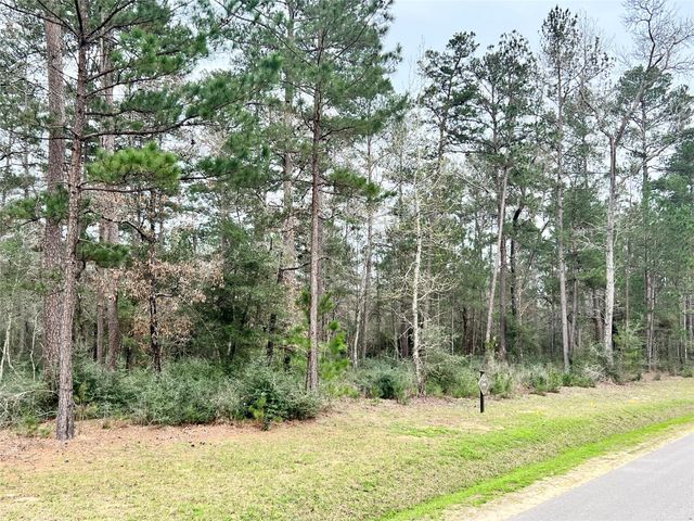 TBD7 Lily Bean, Montgomery, TX 77316