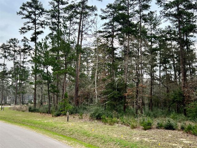 TBD7 Lily Bean, Montgomery, TX 77316