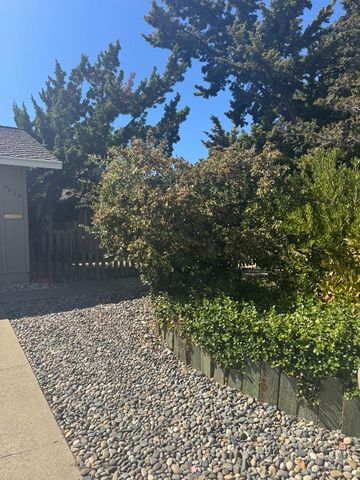 4069 Partridge Drive, San Jose, CA 95121