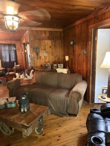 20 S. Scruggs St., Mountain City, GA 30562