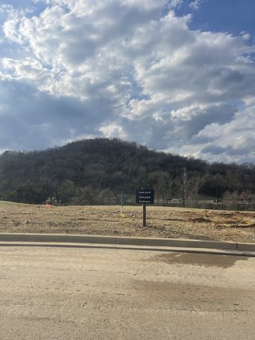 207 Berry Hunter Lane, Franklin, TN 37067