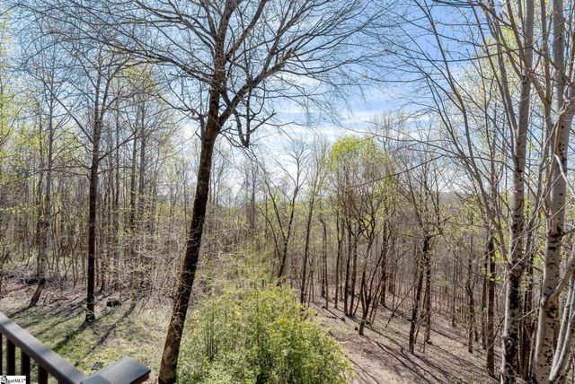 33 Witch Hazel Trail, Landrum, SC 29356