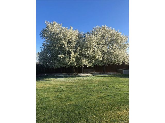 805 Waxberry Ct, Loveland, CO 80538