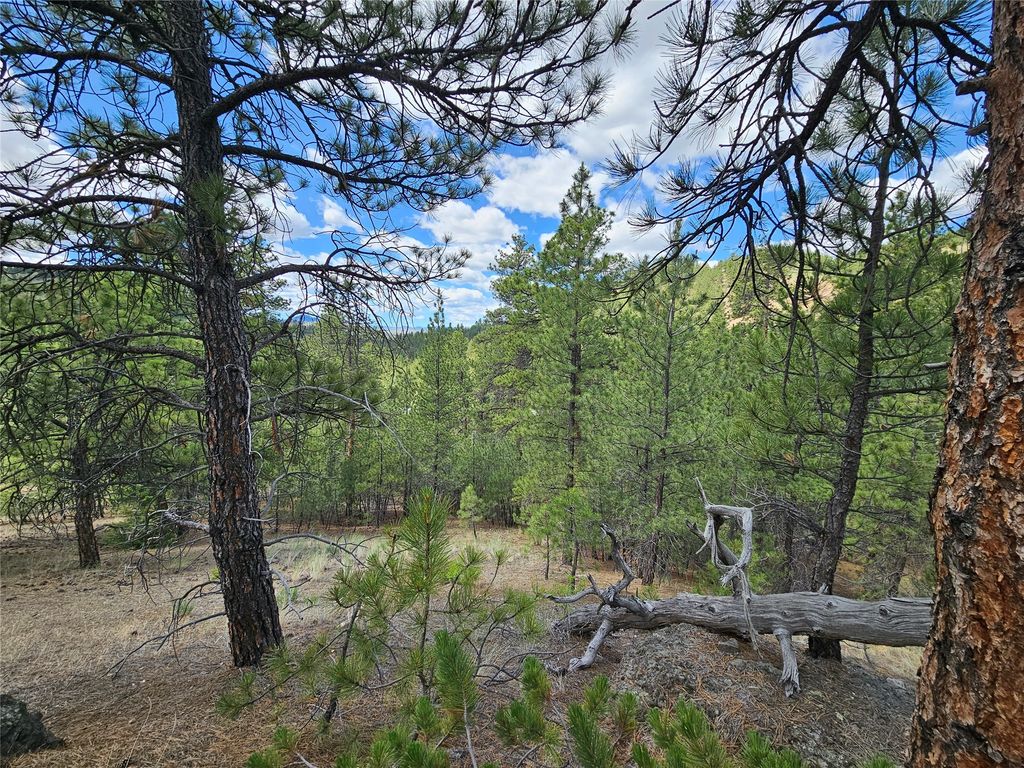 Image 10 of property listing at 218 Upper Sawmill Creek Lane, Cascade, MT 59421