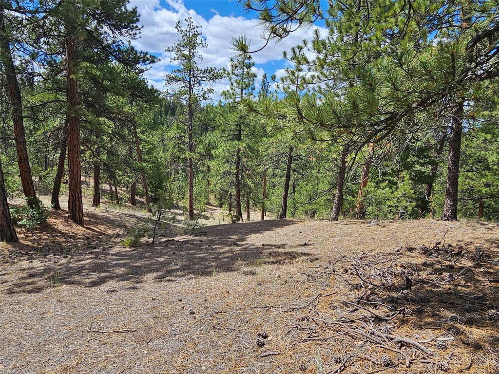 Image 11 of property listing at 218 Upper Sawmill Creek Lane, Cascade, MT 59421