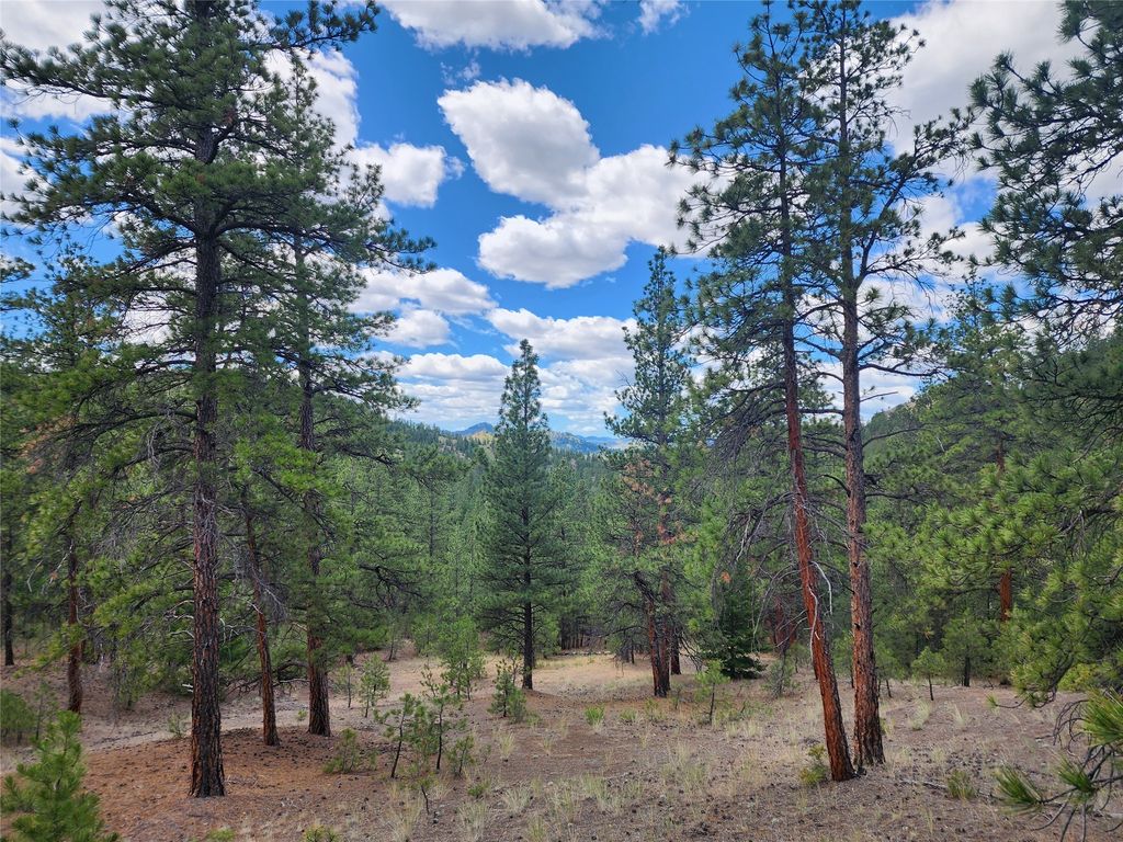 Image 42 of property listing at 218 Upper Sawmill Creek Lane, Cascade, MT 59421