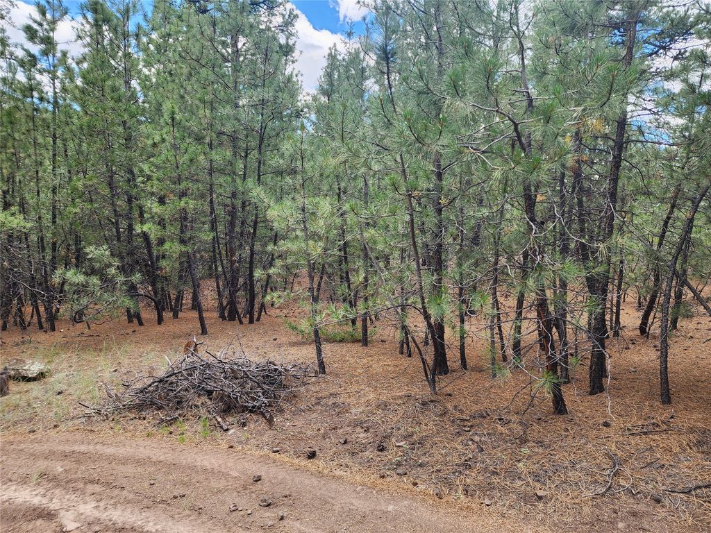 Image 43 of property listing at 218 Upper Sawmill Creek Lane, Cascade, MT 59421