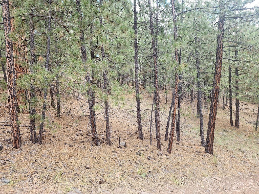 Image 44 of property listing at 218 Upper Sawmill Creek Lane, Cascade, MT 59421