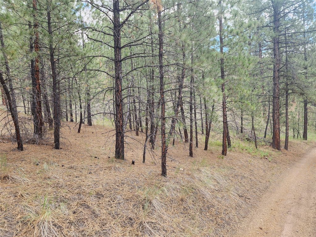 Image 46 of property listing at 218 Upper Sawmill Creek Lane, Cascade, MT 59421
