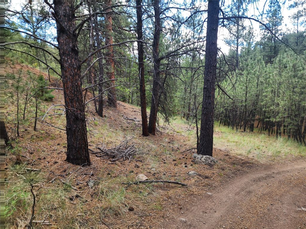 Image 47 of property listing at 218 Upper Sawmill Creek Lane, Cascade, MT 59421