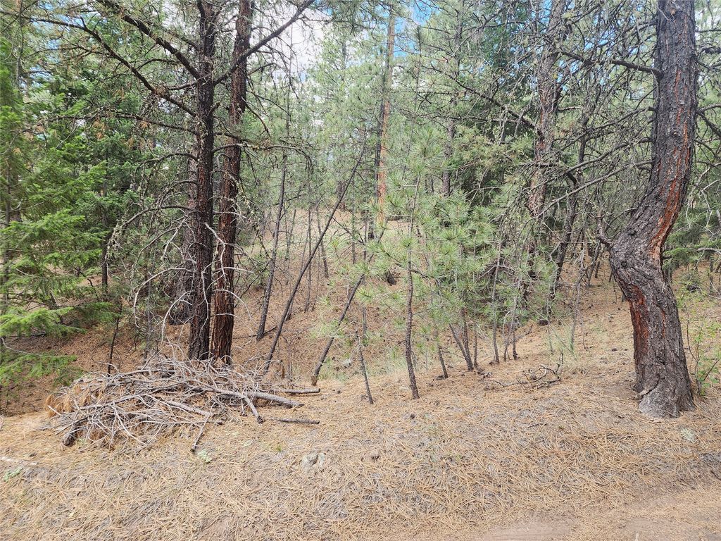 Image 48 of property listing at 218 Upper Sawmill Creek Lane, Cascade, MT 59421