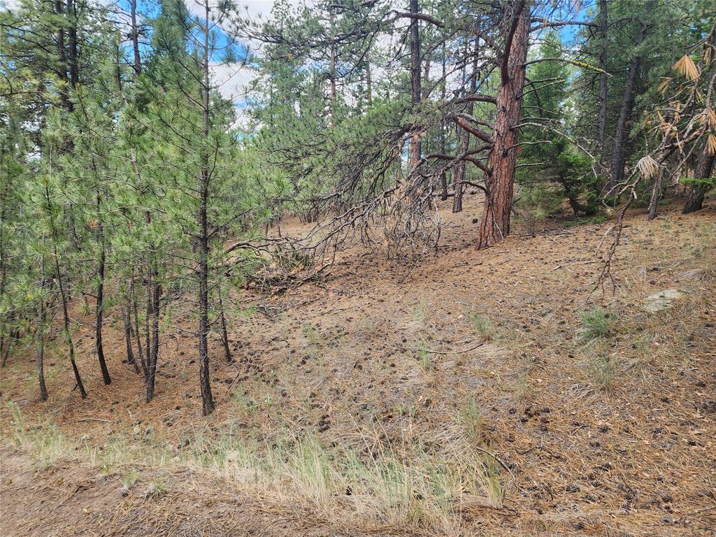 Image 49 of property listing at 218 Upper Sawmill Creek Lane, Cascade, MT 59421
