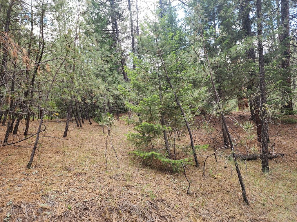 Image 50 of property listing at 218 Upper Sawmill Creek Lane, Cascade, MT 59421