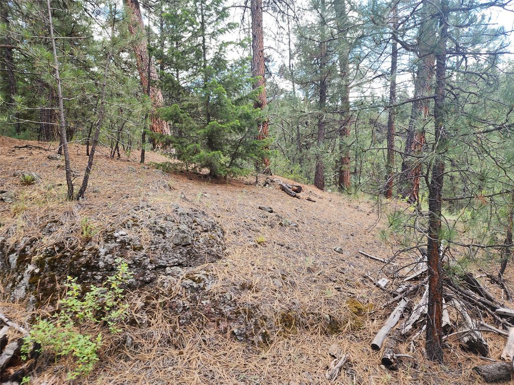 Image 51 of property listing at 218 Upper Sawmill Creek Lane, Cascade, MT 59421