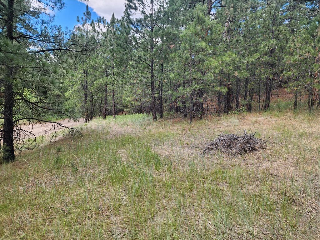 Image 54 of property listing at 218 Upper Sawmill Creek Lane, Cascade, MT 59421