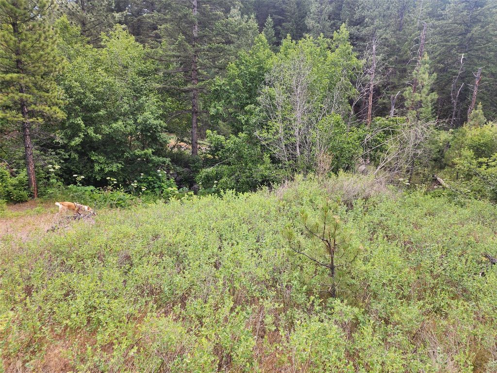 Image 56 of property listing at 218 Upper Sawmill Creek Lane, Cascade, MT 59421