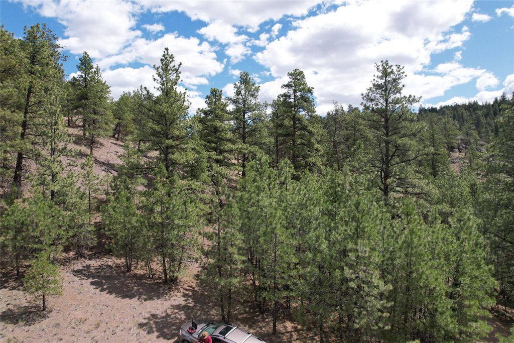 Image 61 of property listing at 218 Upper Sawmill Creek Lane, Cascade, MT 59421
