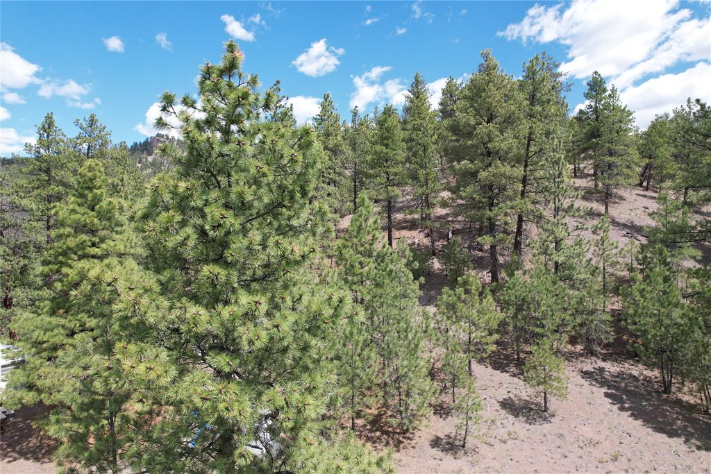 Image 62 of property listing at 218 Upper Sawmill Creek Lane, Cascade, MT 59421