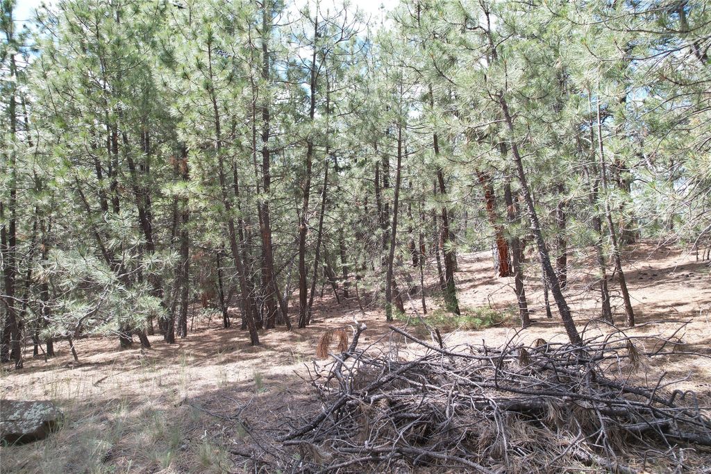 Image 64 of property listing at 218 Upper Sawmill Creek Lane, Cascade, MT 59421