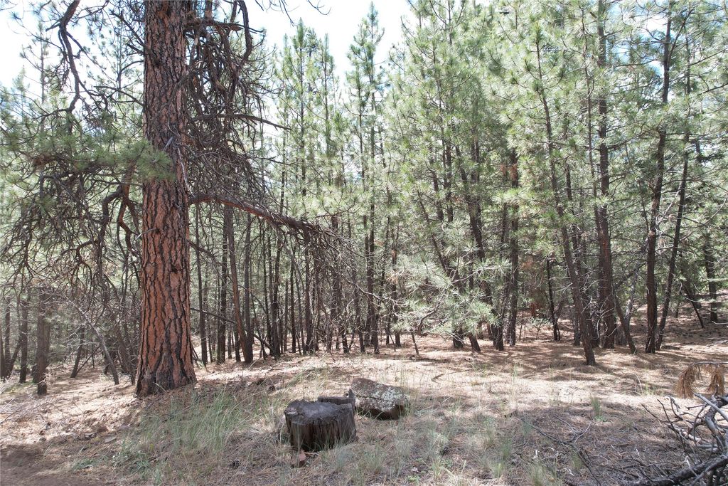 Image 65 of property listing at 218 Upper Sawmill Creek Lane, Cascade, MT 59421