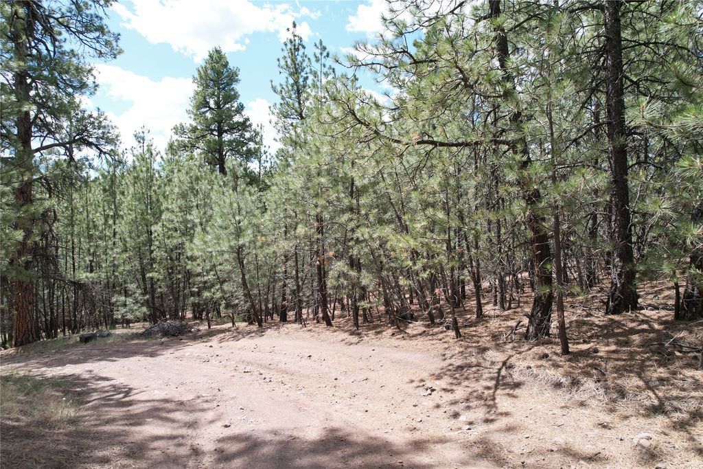 Image 66 of property listing at 218 Upper Sawmill Creek Lane, Cascade, MT 59421
