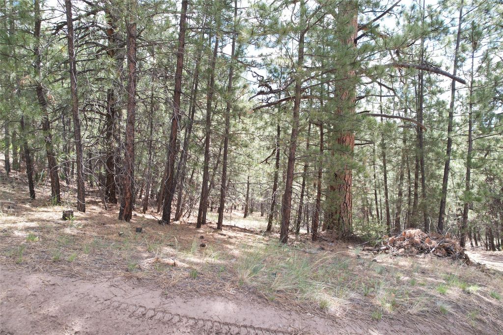 Image 67 of property listing at 218 Upper Sawmill Creek Lane, Cascade, MT 59421
